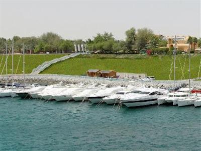 фото отеля Golden Tulip Al Jazira