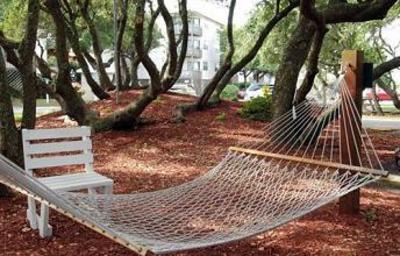 фото отеля Peppertree Atlantic Beach, a Festiva Resort