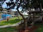 фото отеля Peppertree Atlantic Beach, a Festiva Resort