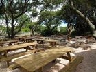 фото отеля Peppertree Atlantic Beach, a Festiva Resort