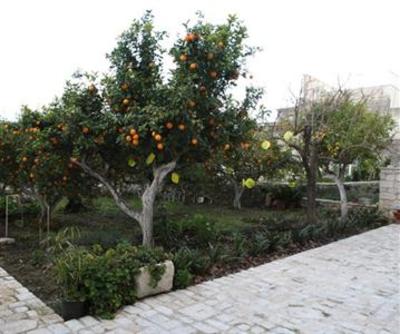 фото отеля Il Giardino Dei Mandarini