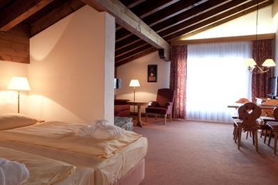 фото отеля Pardenn Piz Buin Swiss Quality Hotel