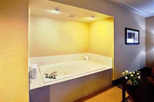 фото отеля Holiday Inn Express & Suites Columbia Downtown