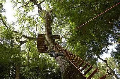 фото отеля La Aldea de la Selva Lodge & Spa
