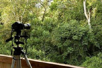фото отеля La Aldea de la Selva Lodge & Spa