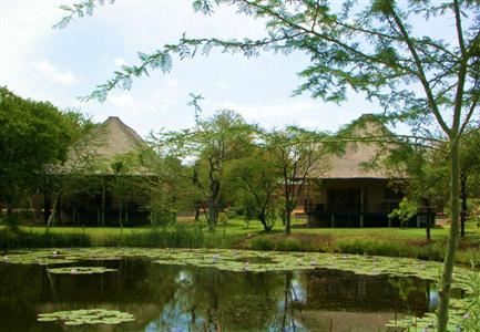 фото отеля Sefapane Lodge and Safaris