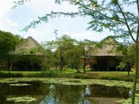 Sefapane Lodge and Safaris