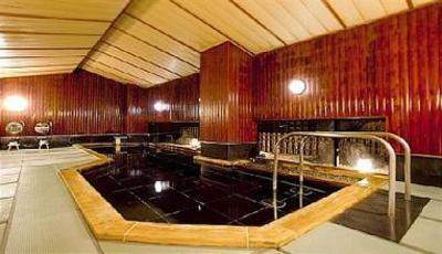 фото отеля Hida Hotel Plaza