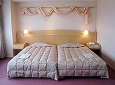 фото отеля Hida Hotel Plaza