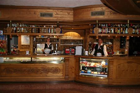 фото отеля Hotel Arnika