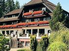 фото отеля Hotel Restaurant Waldsägmühle Pfalzgrafenweiler