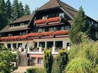 фото отеля Hotel Restaurant Waldsägmühle Pfalzgrafenweiler