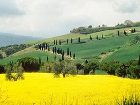 фото отеля Albergo Angiolino