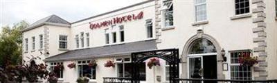 фото отеля Dolmen & River Court Lodges Carlow