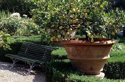 фото отеля Villa Scacciapensieri
