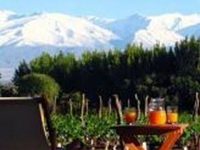 Postales Boutique Wine Hotels - Valle de Uco