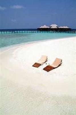 фото отеля Coco Palm Bodu Hithi