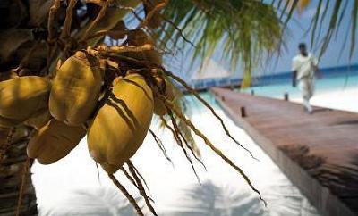 фото отеля Coco Palm Bodu Hithi