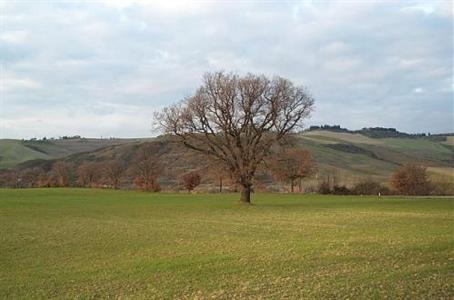 фото отеля Hotel Panoramic Montepulciano