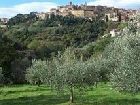 фото отеля Hotel Panoramic Montepulciano