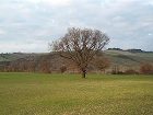 фото отеля Hotel Panoramic Montepulciano