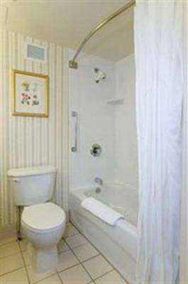 фото отеля Hilton Garden Inn Orlando at SeaWorld