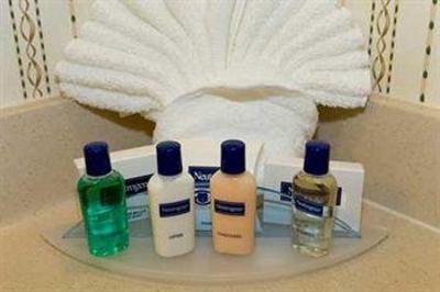 фото отеля Hilton Garden Inn Orlando at SeaWorld