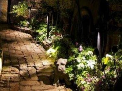 фото отеля Linnies York B&B