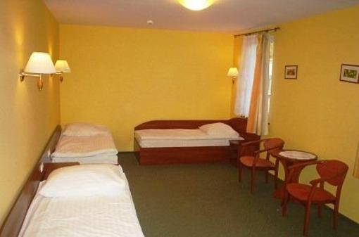 фото отеля Hotel Przylesie