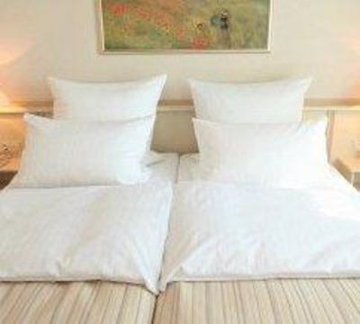 фото отеля Hotel Burghof Hof