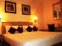 Dolphinn Select