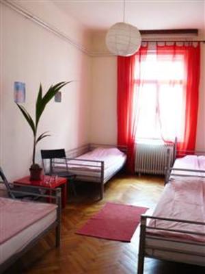 фото отеля Activity Hostel