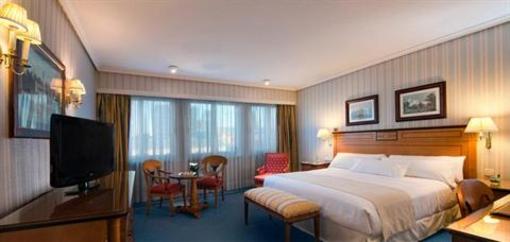 фото отеля Melia Castilla