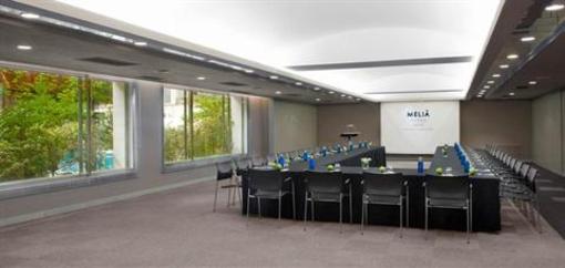 фото отеля Melia Castilla