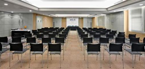 фото отеля Melia Castilla