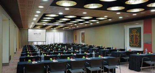 фото отеля Melia Castilla