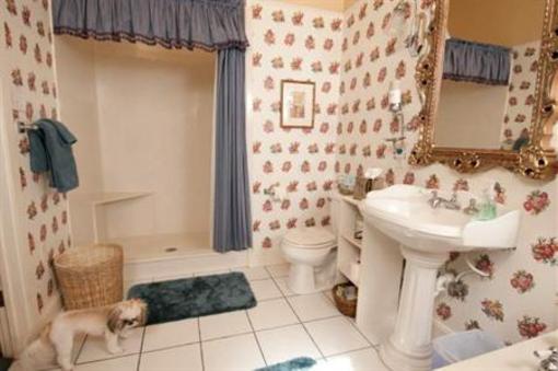 фото отеля The Cotton Palace Bed and Breakfast