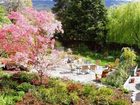фото отеля Iris Inn Bed & Breakfast Ashland (Oregon)