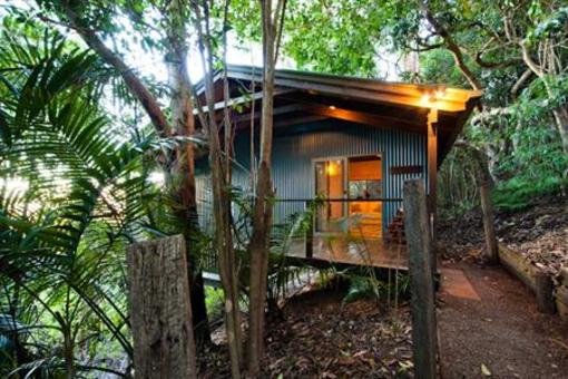 фото отеля Treetops Seaview