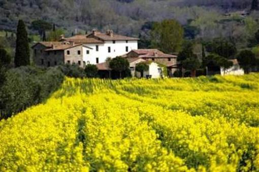 фото отеля Agriturismo La Fattoria Del Rio di Sopra