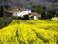 Agriturismo La Fattoria Del Rio di Sopra