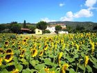 фото отеля Agriturismo La Fattoria Del Rio di Sopra