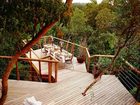 фото отеля Tsala Treetop Lodge