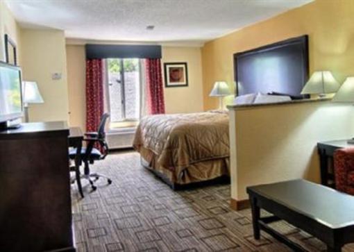 фото отеля Comfort Inn & Suites Downtown Greenville