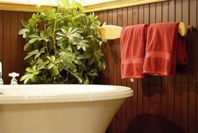 фото отеля Wrens Nest Village Inn