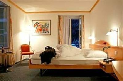 фото отеля Hotel Du Glacier Saas-Fee