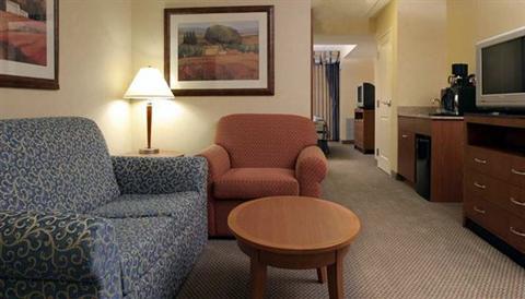 фото отеля Hilton Garden Inn Buffalo Airport
