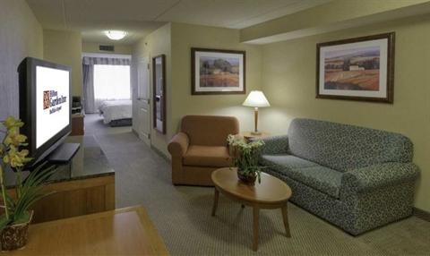 фото отеля Hilton Garden Inn Buffalo Airport