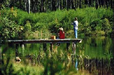 фото отеля Eaglereach Wilderness Resort