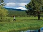 фото отеля Sunriver Resort